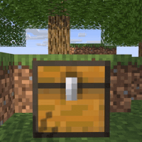 Chest GIF