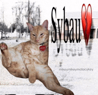 Sybau GIF