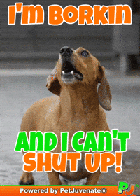 Puppy Love Dachshund GIF by PetJuvenate - PJ