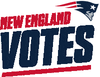 Voting New England Patriots Sticker by NFL