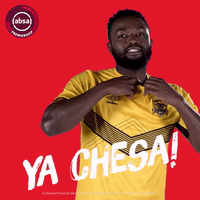 south african soccer GIF