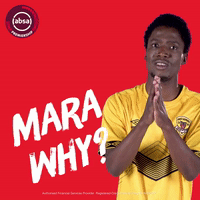 south african soccer GIF