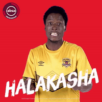 south african soccer GIF