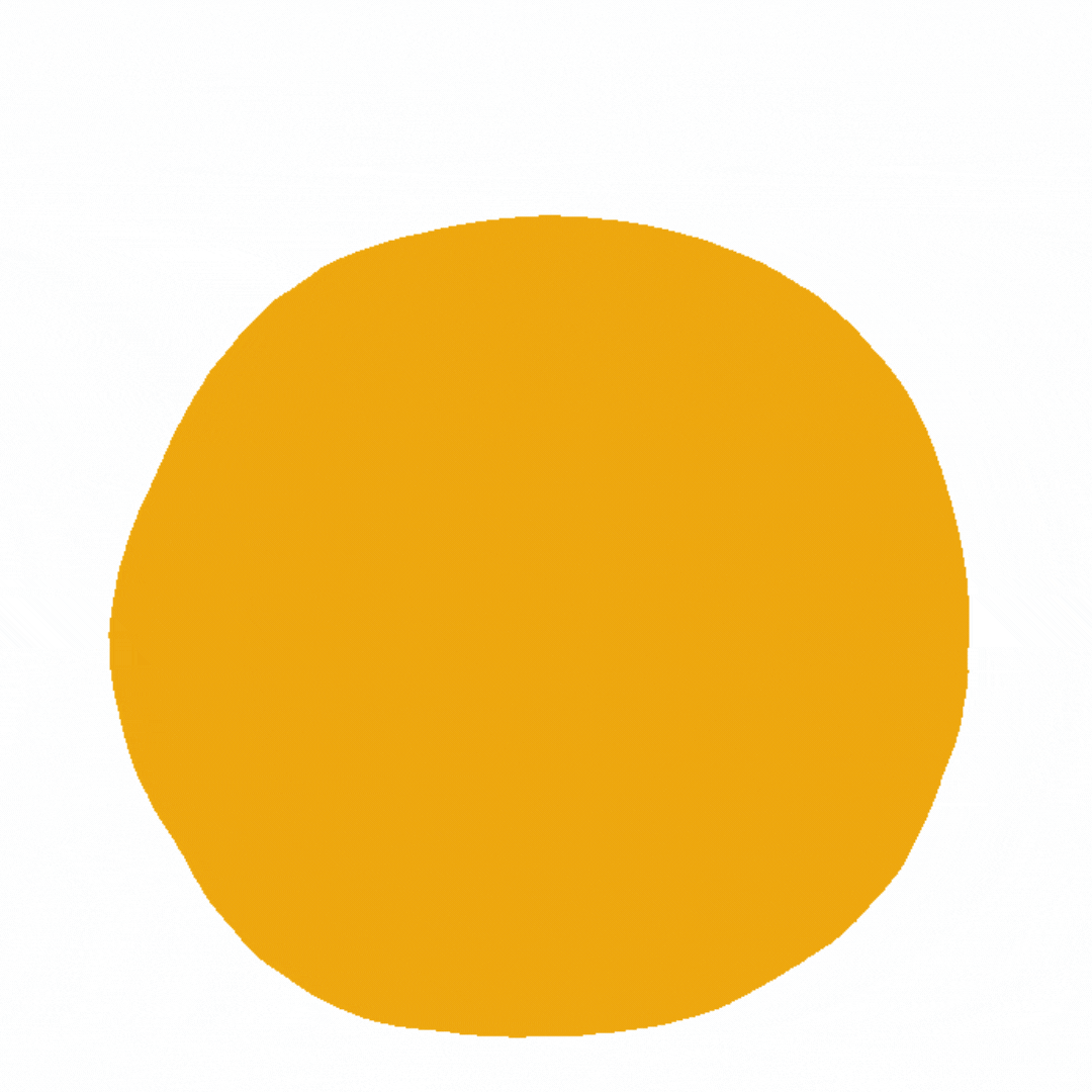 DrStacyVet giphyupload dog pizza pizzeria GIF