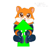 Lets Go Crypto Sticker by Hamieverse