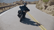 Brand Adventure GIF by Harley-Davidson