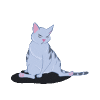 salomepont_illustrations cat angry really chat Sticker