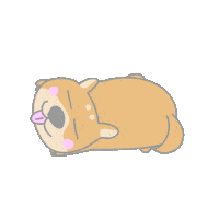 New Music Shiba Sticker