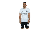 Filip Kostic Turn Sticker by Eintracht Frankfurt