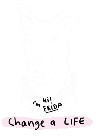 fridafoundation giphyupload dog donation fridafoundation Sticker