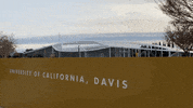 college life hello GIF by UCDavis