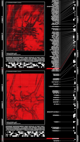 arsmagine giphyupload life math simulation GIF