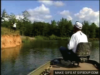 fishing GIF