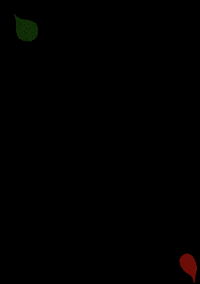 Art Algeria GIF