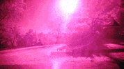 sub pop running GIF by Sub Pop Records