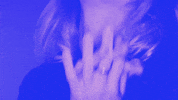 Sub Pop Bully GIF by Sub Pop Records