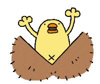 Bird Chicken Sticker by ぴょろりんちょ（ひよこ人間ぴよ）