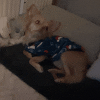Sleepy Cute Girl GIF
