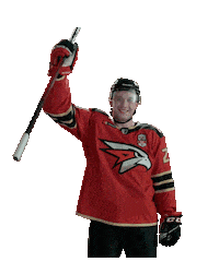 Goal Hockey Sticker by Avangard