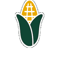 Agriculture Corn Sticker by AgriGold