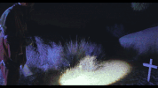 music video the mirror will steal your charm GIF by Epitaph Records