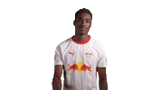 Red Bull No Sticker by RB Leipzig