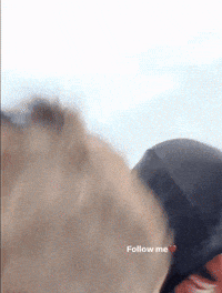 سنبل GIF