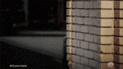Nbc Spying GIF by Sunnyside