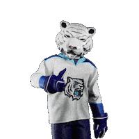 Hockey Hokej Sticker by Tipsport extraliga