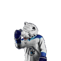 Hockey Hokej Sticker by Tipsport extraliga