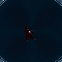 Loop Space GIF by Komplex