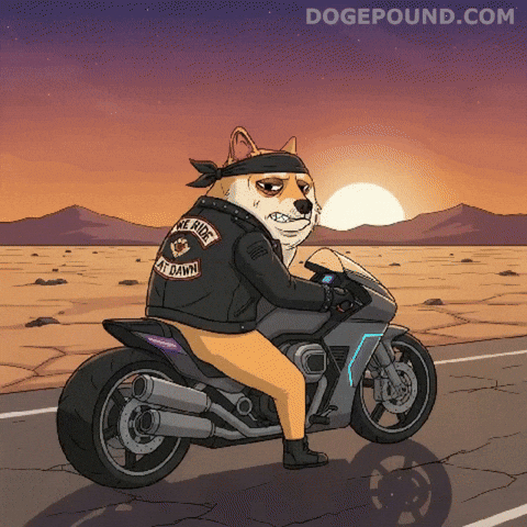 Serious Lets Go GIF by Doge Pound