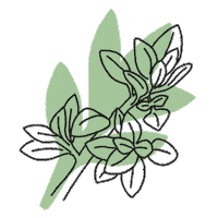 Beauty Flower Sticker by Coziebio