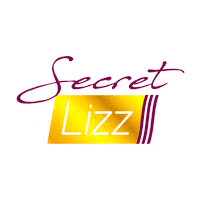 secretlizz sht cabeloliso secretlizz secret lizz Sticker