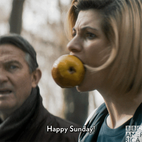 Doctor Who Television GIF by BBC America