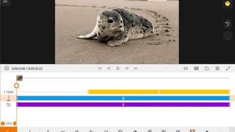 tanastasia giphyupload overlays video editor animotica GIF