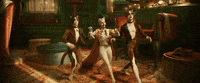 CatsMovie dance dancing hello excited GIF