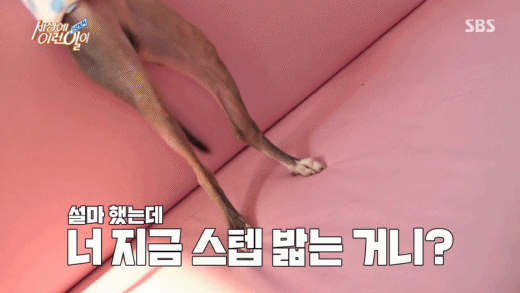 sophiasonge92b giphyupload GIF