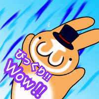 horseface19930912 wow びっくり ワオ mrbunny GIF