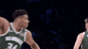 GIF by NBA