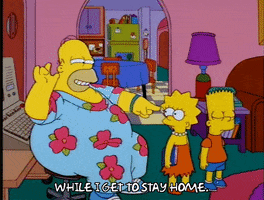 homer simpson GIF
