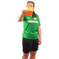 Fussball Sticker by HSC Hannover