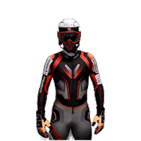 Norge Sticker by Skiforbundet