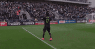GIF by Philadelphia Union