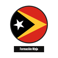 Timor-Leste Flag Sticker by Formación Ninja