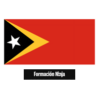 Timor-Leste Flag Sticker by Formación Ninja