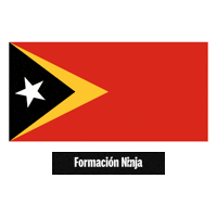 Timor-Leste Flag Sticker by Formación Ninja