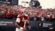 Ncaa Football GIF by Arkansas Razorbacks