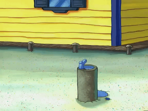 season 6 boating buddies GIF by SpongeBob SquarePants