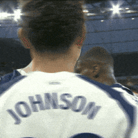 Celebration Goal GIF by Tottenham Hotspur